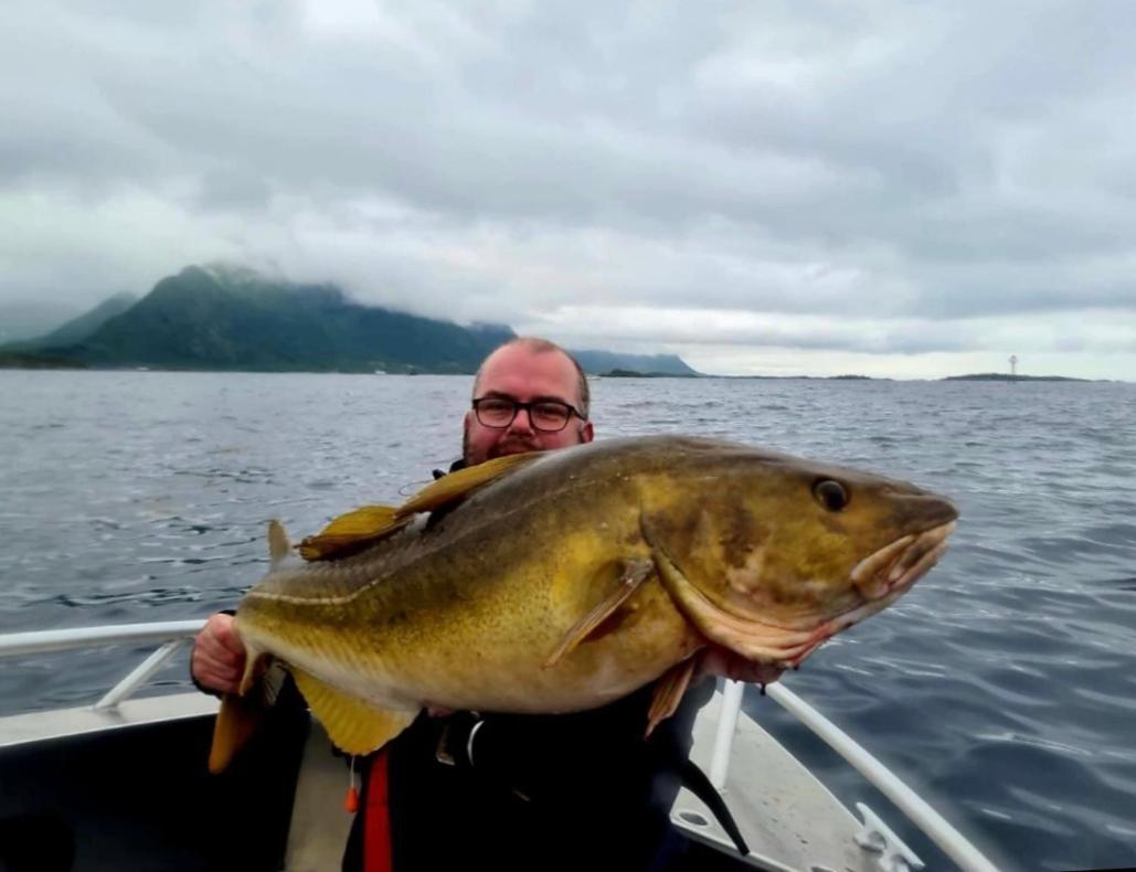 Lofoten And Vesteralen Kveldro Myrland Екстериор снимка