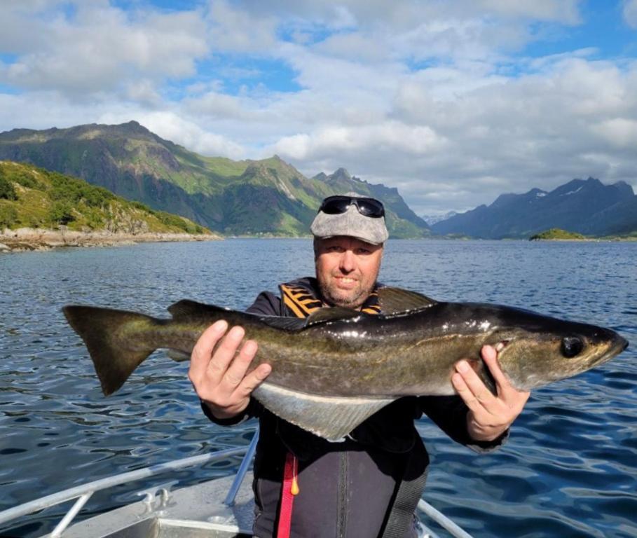 Lofoten And Vesteralen Kveldro Myrland Екстериор снимка