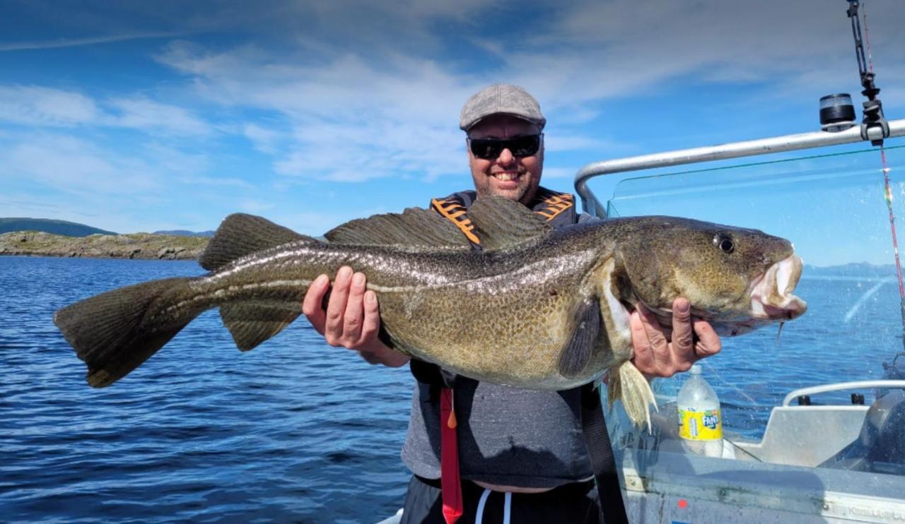 Lofoten And Vesteralen Kveldro Myrland Екстериор снимка