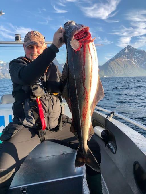 Lofoten And Vesteralen Kveldro Myrland Екстериор снимка