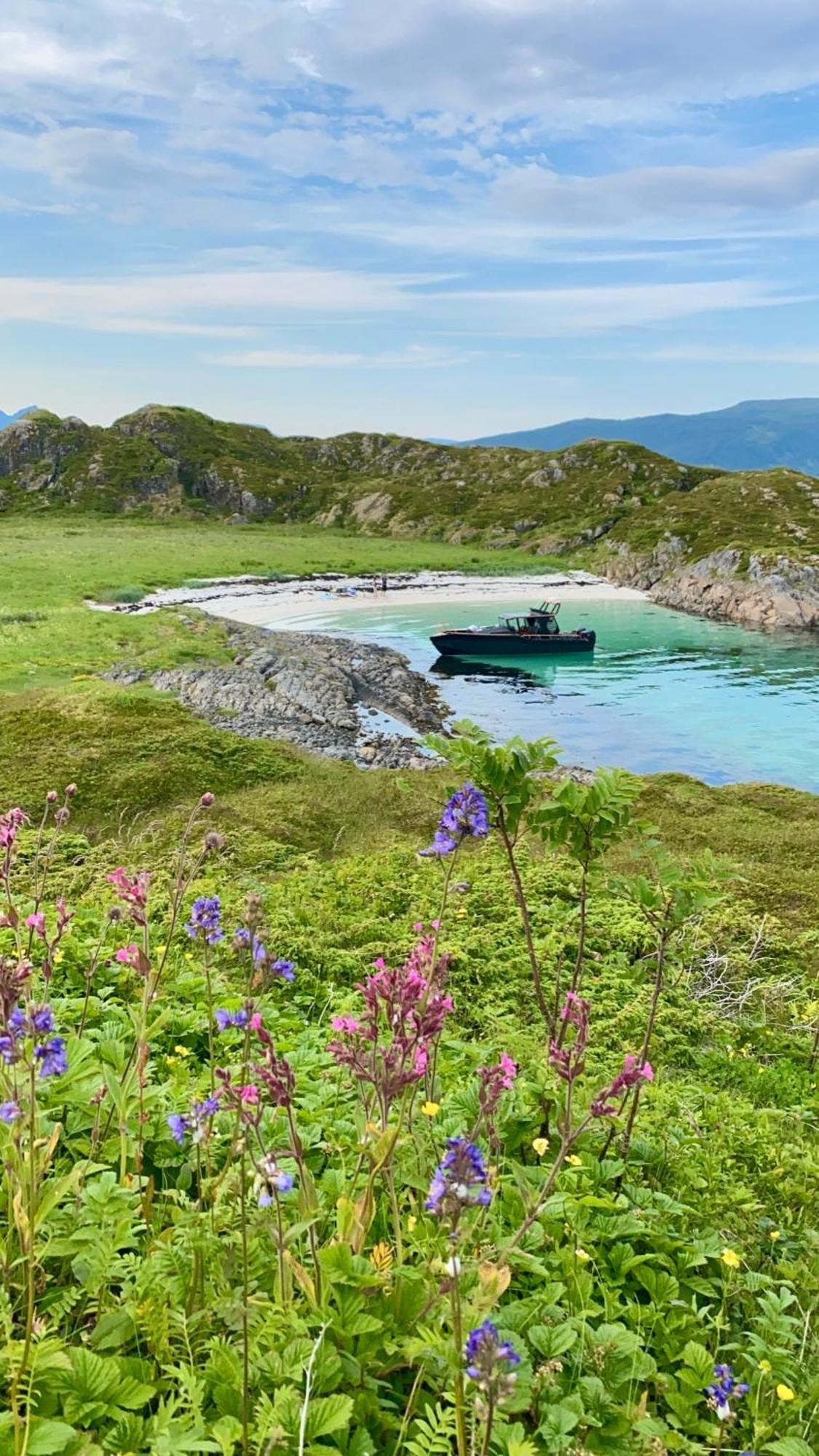 Lofoten And Vesteralen Kveldro Myrland Екстериор снимка